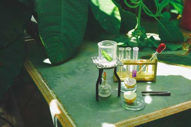 Science on a Shoestring - Inspiring Experiments with Everyday Items | Inspire Article