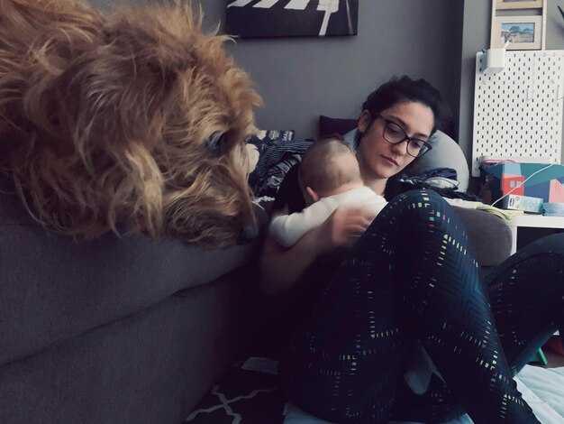 Why TikTok Is Obsessed With the 'Black Cat' and 'Golden Retriever' Dating Theory — A Relationship Editor Explains