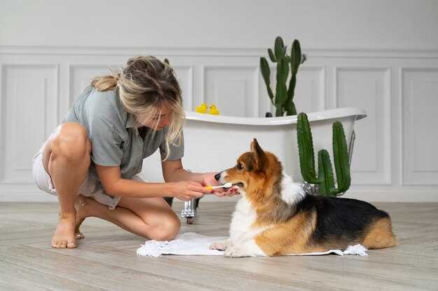Reinforce chewing on allowed items with immediate praise