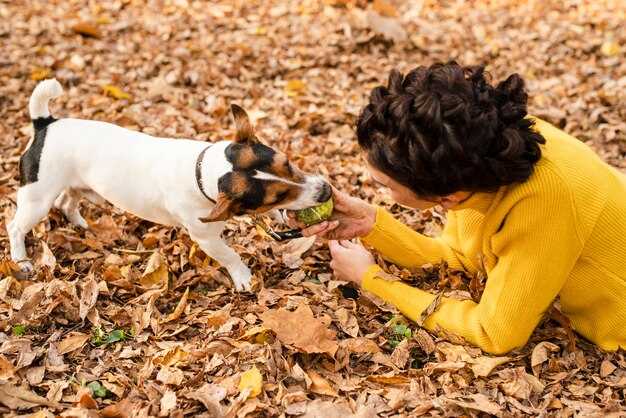 How to Stop Your Dog's Destructive Chewing: 10 Effective Tips