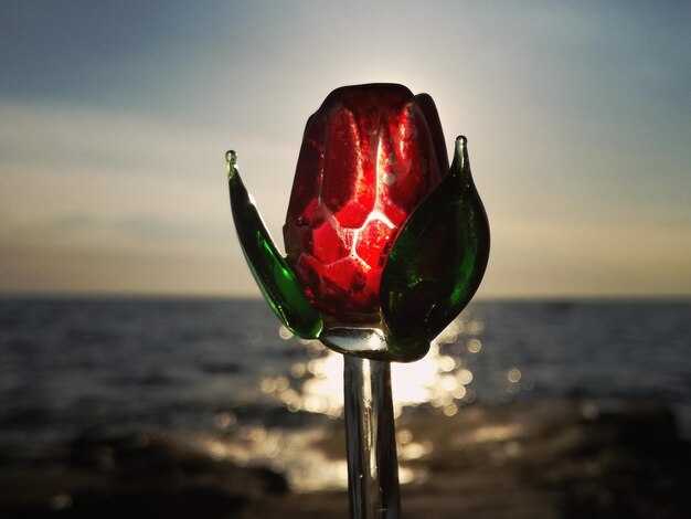 The ONLY way to beat a Narcissist at their own game ď˝ď˝ Red flags and Green Flags! The ONLY way to beat a Narcissist at their own game ď˝ď˝ Red flags and Green Flags!